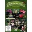 G�RTEN DER WELT: GIARDINO DI BOBOLI & JARDIN.. DVD NEU 