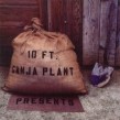 10 Ft.Ganja Plant - Presents  CD Neuware