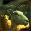 Alias Caylon - Follow The Feeder 2 Vinyl LP Neuware