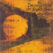 65 DAYS OF STATIC  THE DESTRUCTION ...  2 VINYL LP NEU
