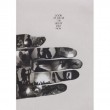 FEIST LOOK AT WHAT THE LIGHT DID NOW  2 DVD + CD NEU