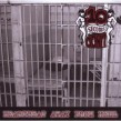 10 SECONDS DOWN  HEARTBEAT AWAY FROM HELL  CD NEU