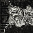 WORMROT  DIRGE  CD GRINDCORE NEU