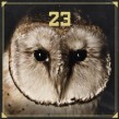 23 - 23 CD HIP HOP/RAP NEU